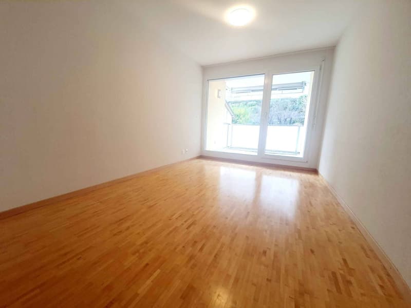 Magnifique appartement de 4.5 pièces au rez-de-chaussée (7)