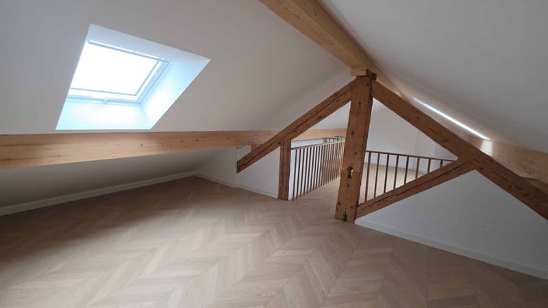 ÉLÉGANT ATTIQUE DE STANDING ENTIÈREMENT RÉNOVÉ (7)