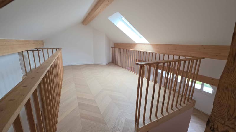 ÉLÉGANT ATTIQUE DE STANDING ENTIÈREMENT RÉNOVÉ (6)