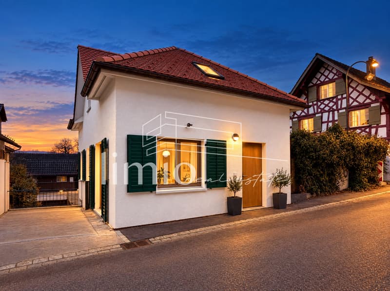 Midi-Einfamilienhaus mit Garage im Dorfkern von Thundorf - 3.5 Zimmer, Neubau, bezugsbereit innert ca. 4 Wochen (1)