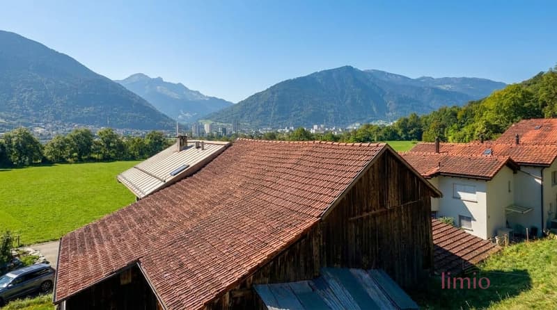 Renoviertes Mehrfamilienhaus mit 2 Einheiten, grossem Grundstück & attraktiver Ausbaureserve (1)
