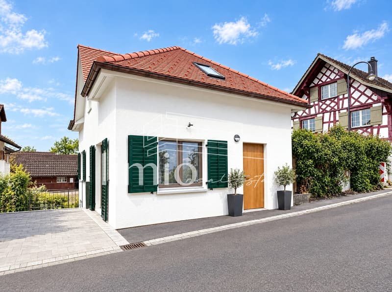 NEUBAU: 3.5 Zimmer-EFH mit Garage in Thundorf kaufen (1)