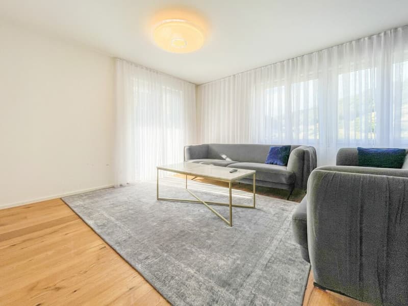 3 Häuser. 1 Grundstück. Bewilligtes Bauprojekt mit grossem Potenzial (10)