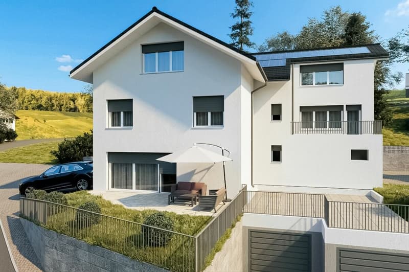 3 Häuser. 1 Grundstück. Bewilligtes Bauprojekt mit grossem Potenzial (31)