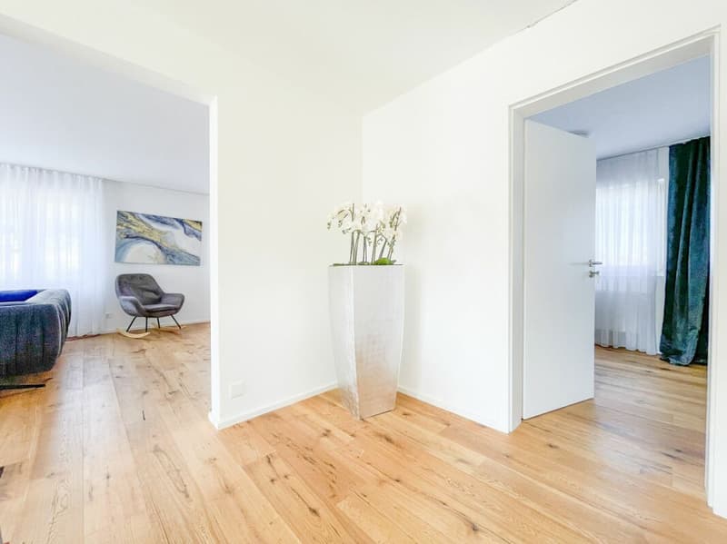 3 Häuser. 1 Grundstück. Bewilligtes Bauprojekt mit grossem Potenzial (23)