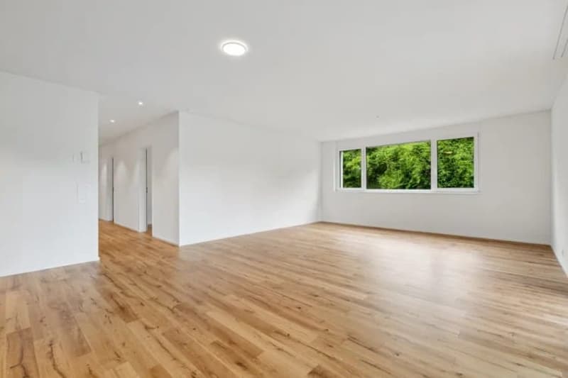 4.5-room new building with large balcony in Schaffhausen for sale (5)