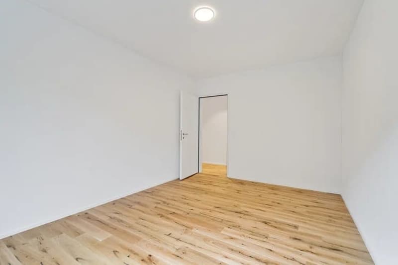 4.5-room new building with large balcony in Schaffhausen for sale (6)