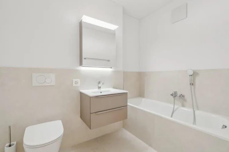 4.5-room new building with large balcony in Schaffhausen for sale (4)