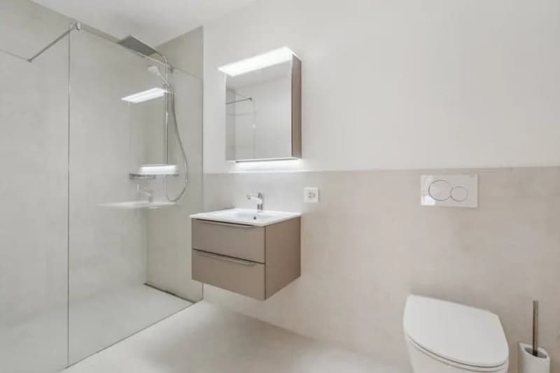 4.5-room new building with large balcony in Schaffhausen for sale (7)