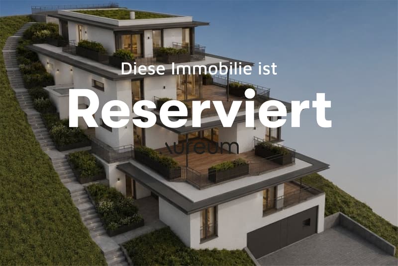 Exclusive 4.5-room terrace apartment with panorama in Beringen (1)