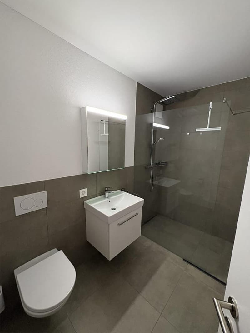 Appartement de jardin neuf de 2,5 pièces avec terrasse à louer à Schaffhausen (9)