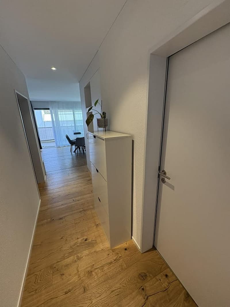 Appartement de jardin neuf de 2,5 pièces avec terrasse à louer à Schaffhausen (10)