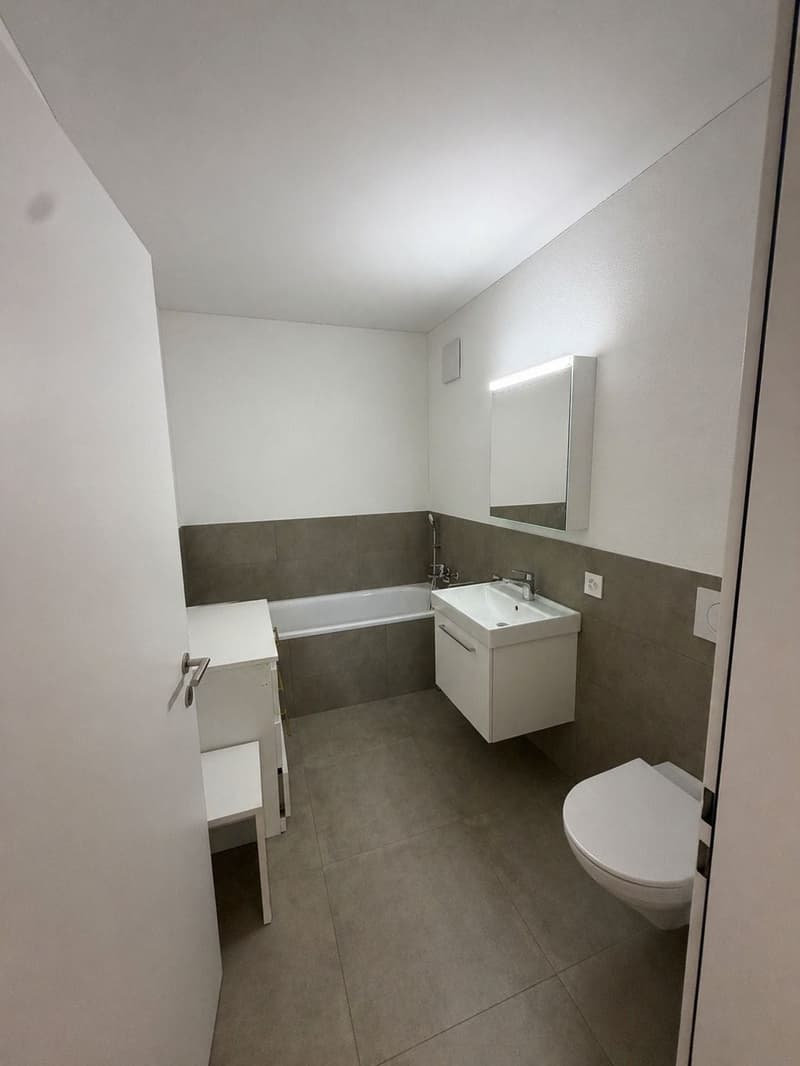 Appartement jardin lumineux 3.5 pièces avec terrasse à Schaffhausen (7)