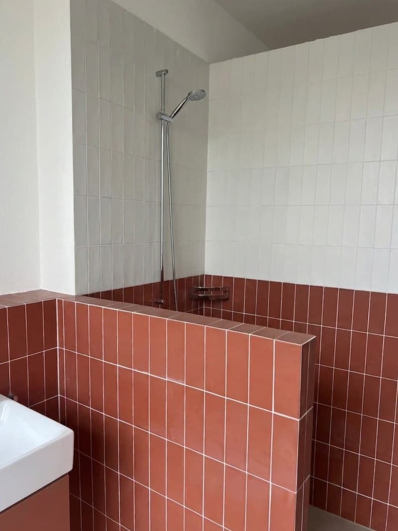 Stilvolle 3-Zimmer-Stadtwohnung mit Balkon in Effretikon mieten (5)