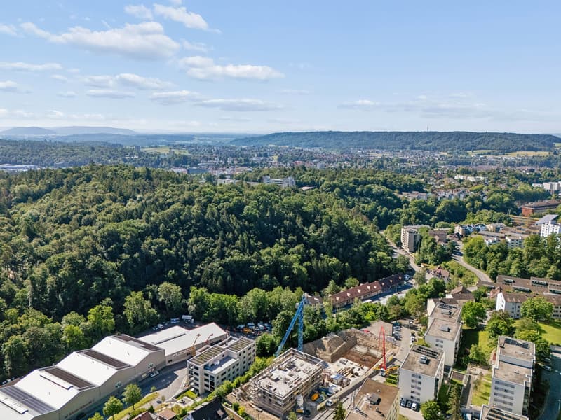 Hochwertige 4.5-Zimmer mit Weitblick in Schaffhausen kaufen (5)