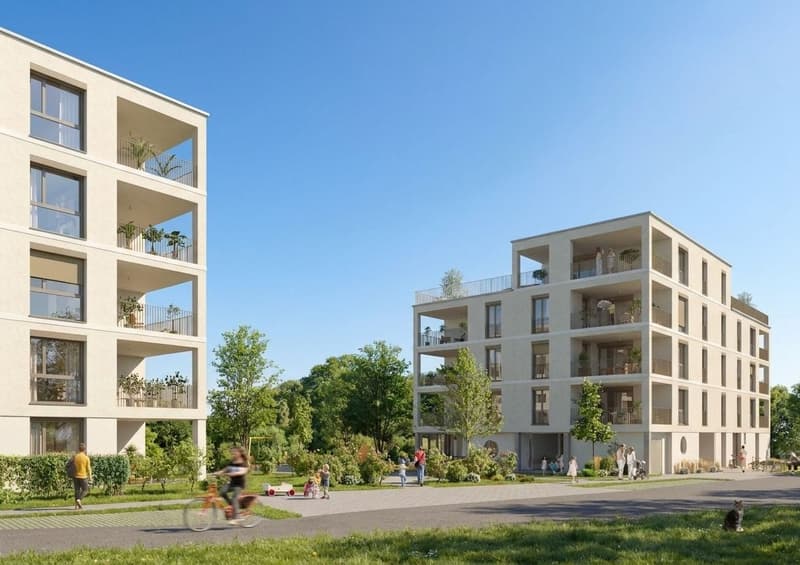 4.5-Zi.-Neubau mit Weitsicht ins Grüne in Schaffhausen kaufen (12)