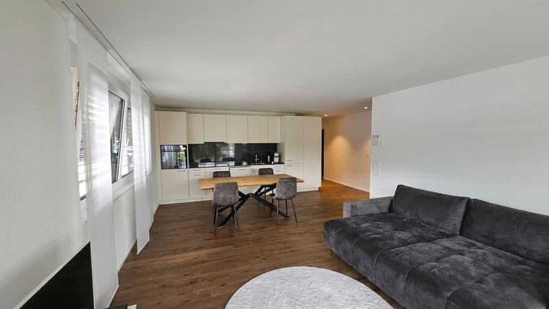 Moderne 2.5-Zimmer-Wohnung mit Terrasse in Schaffhausen kaufen (9)