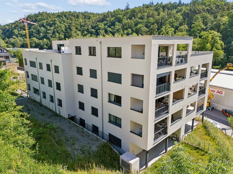 Moderne 2.5-Zimmer-Wohnung mit Terrasse in Schaffhausen kaufen (6)