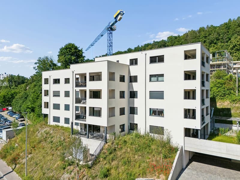 Moderne 2.5-Zimmer-Wohnung mit Terrasse in Schaffhausen kaufen (4)