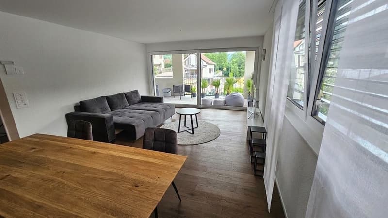 Moderne 2.5-Zimmer-Wohnung mit Terrasse in Schaffhausen kaufen (8)