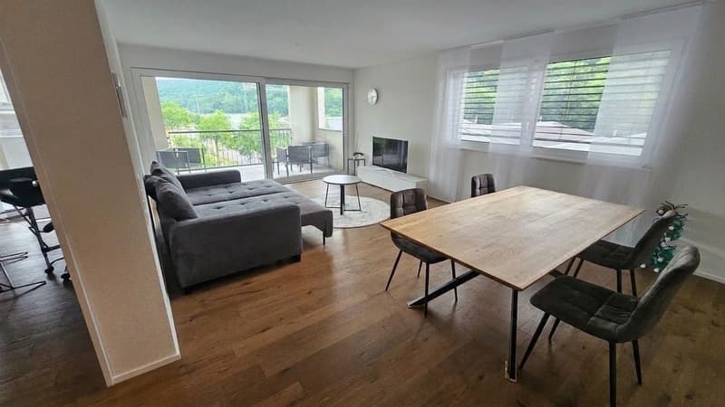 Moderne 2.5-Zimmer-Wohnung mit Terrasse in Schaffhausen kaufen (7)