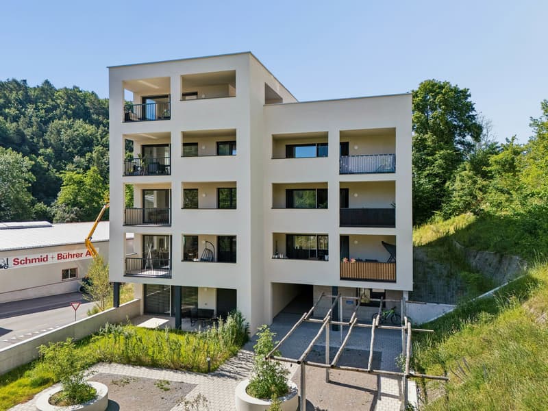 Moderne 2.5-Zimmer-Wohnung mit Terrasse in Schaffhausen kaufen (1)