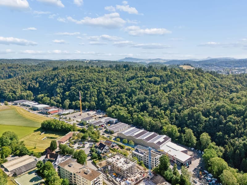 Hochwertige 4.5-Zimmer mit Weitblick in Schaffhausen kaufen (7)
