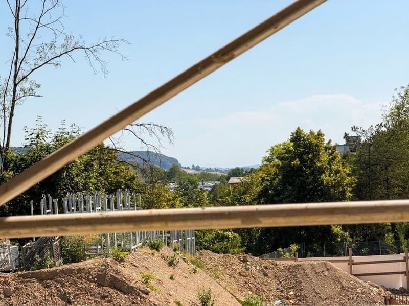 4.5-Zimmer-Neubau mit Weitblick und Balkon in Schaffhausen kaufen (9)