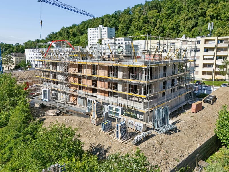 4.5-Zimmer-Neubau mit Weitblick und Balkon in Schaffhausen kaufen (7)