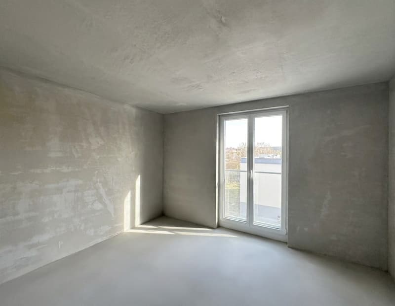4.5-Zi.-Neubau mit Weitsicht ins Grüne in Schaffhausen kaufen (9)