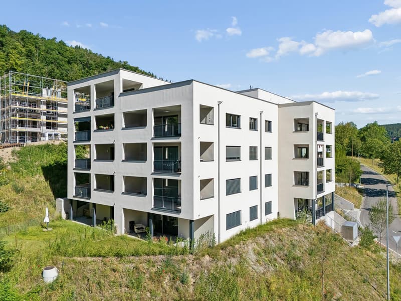 Moderne 2.5-Zimmer-Wohnung mit Terrasse in Schaffhausen kaufen (6)