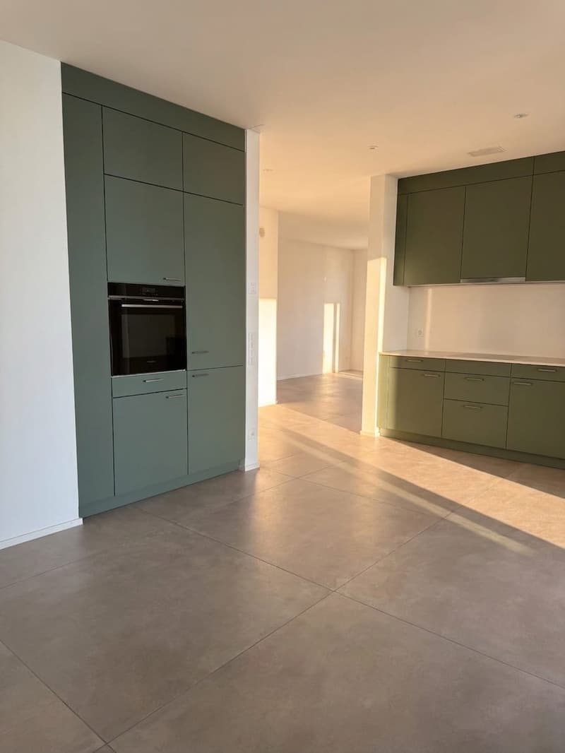 Pendler-Highlight: 3-Zimmer-Neubau in Effretikon mieten (2)