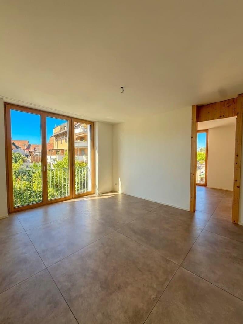 Pendler-Highlight: 3-Zimmer-Neubau in Effretikon mieten (4)