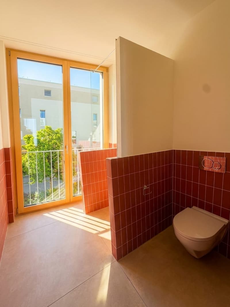 Pendler-Highlight: 3-Zimmer-Neubau in Effretikon mieten (7)