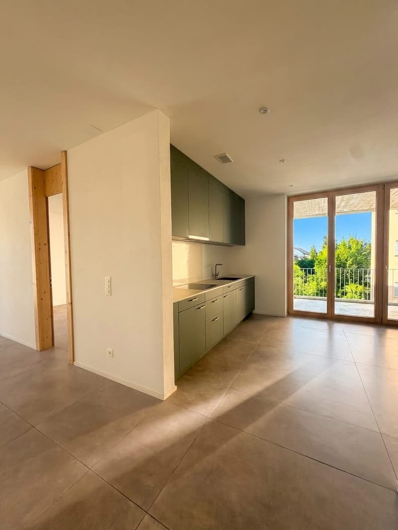 Pendler-Highlight: 3-Zimmer-Neubau in Effretikon mieten (1)
