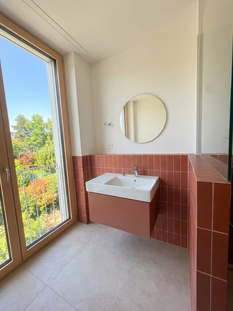 Pendler-Highlight: 3-Zimmer-Neubau in Effretikon mieten (8)