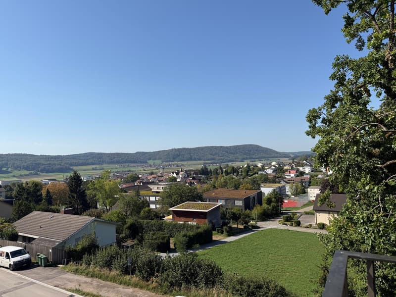 Premium-Terrassenwohnung in Beringen: 143 m², 80 m² Terrasse, Erstbezug (3)
