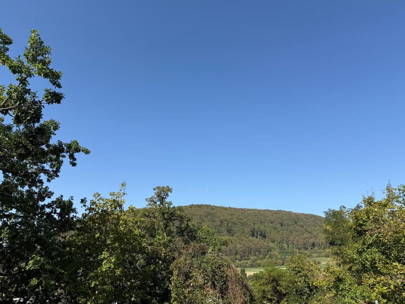 Premium-Terrassenwohnung in Beringen: 143 m², 80 m² Terrasse, Erstbezug (4)