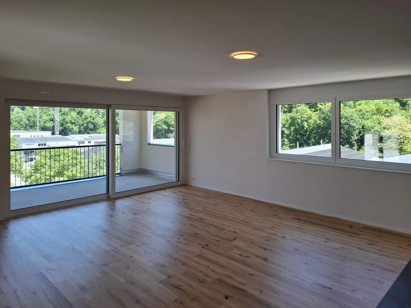 Attikawohnung mit rund 160 m² Dachterrasse, Bezug per 1. März 2027 (7)