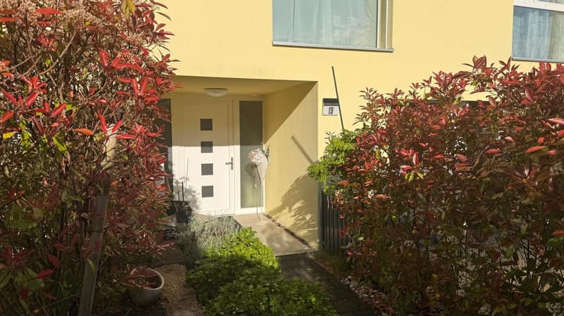 Modern semi-detached house with 6.5 rooms in Port (4)