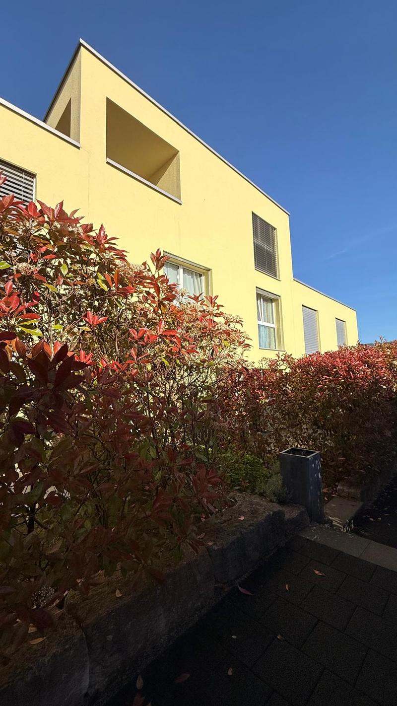 Modern semi-detached house with 6.5 rooms in Port (2)