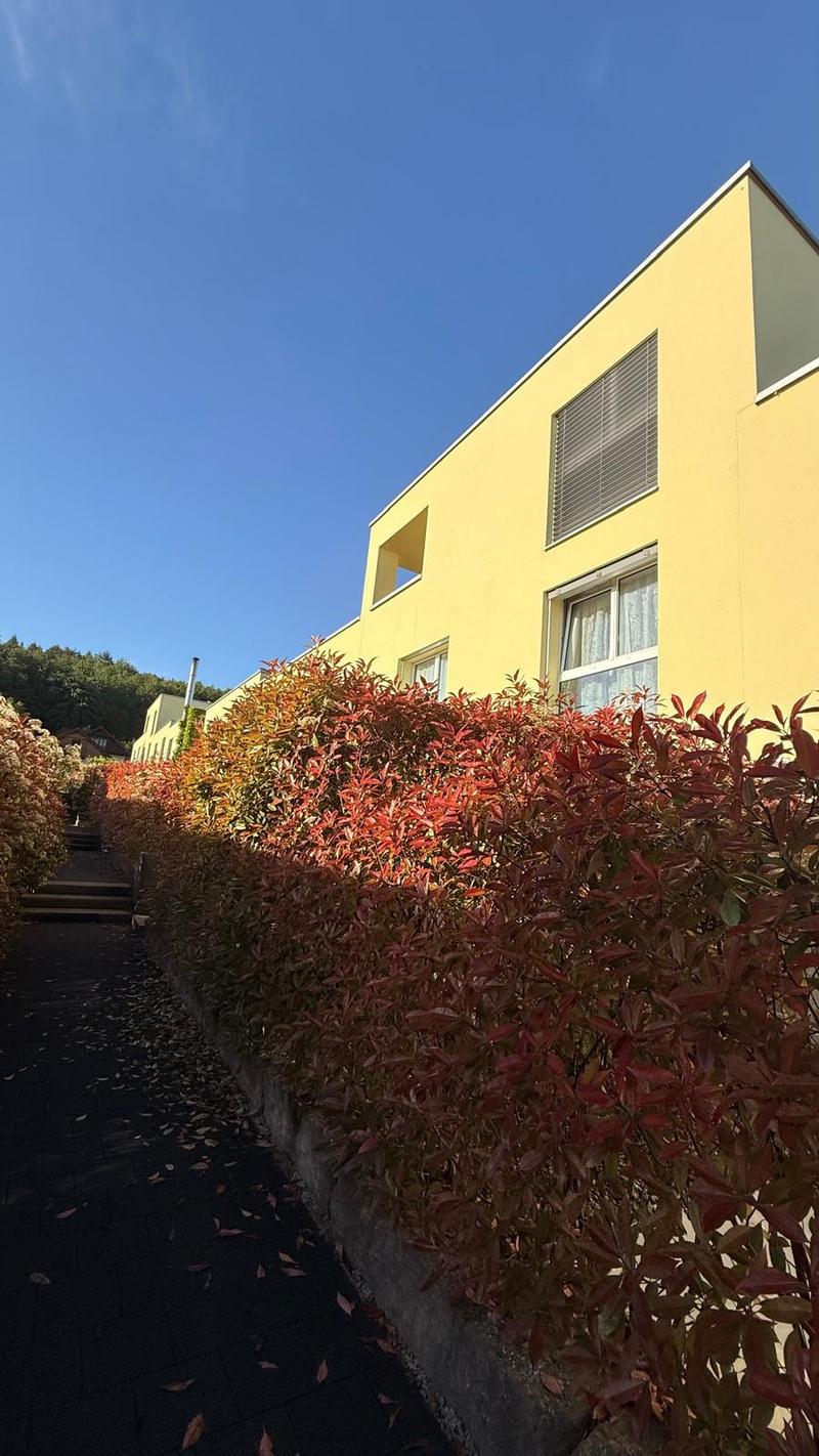 Modern semi-detached house with 6.5 rooms in Port (3)