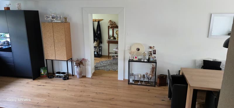 Modern semi-detached house with 6.5 rooms in Port (37)