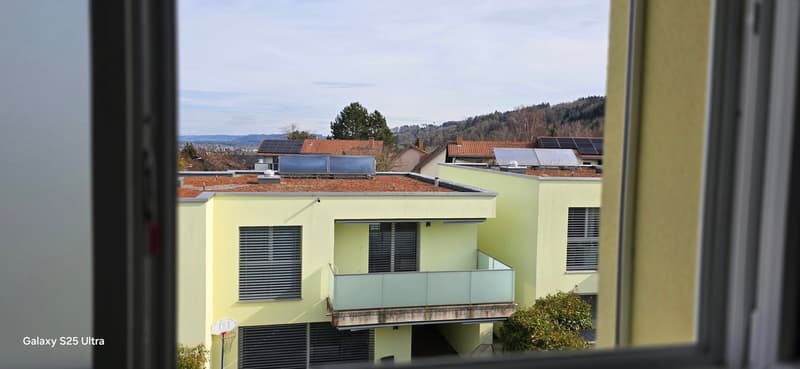 Modern semi-detached house with 6.5 rooms in Port (23)