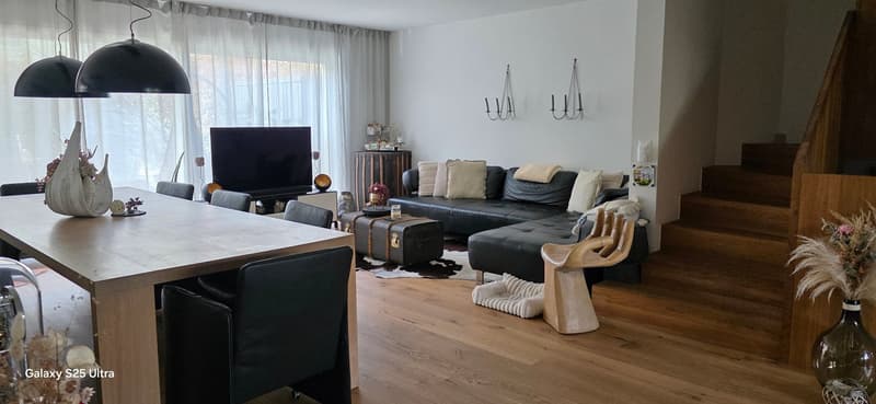 Modern semi-detached house with 6.5 rooms in Port (14)