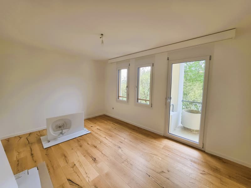 Frisch renovierte 4.5-Zimmer-Wohnung im steuergünstigen Zuzwil (6)