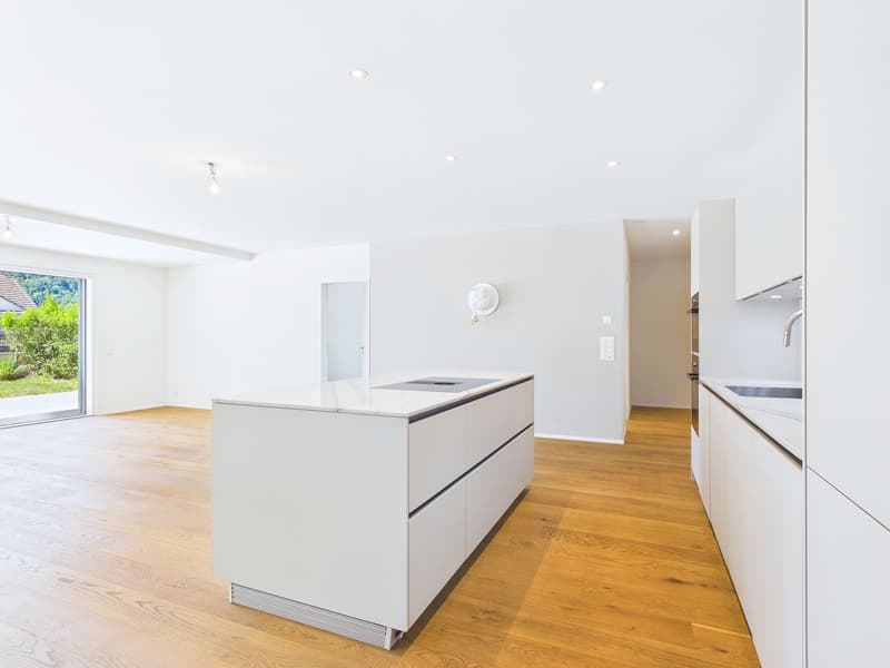 Sunny garden apartment with XXL terrace in Eglisau (4)
