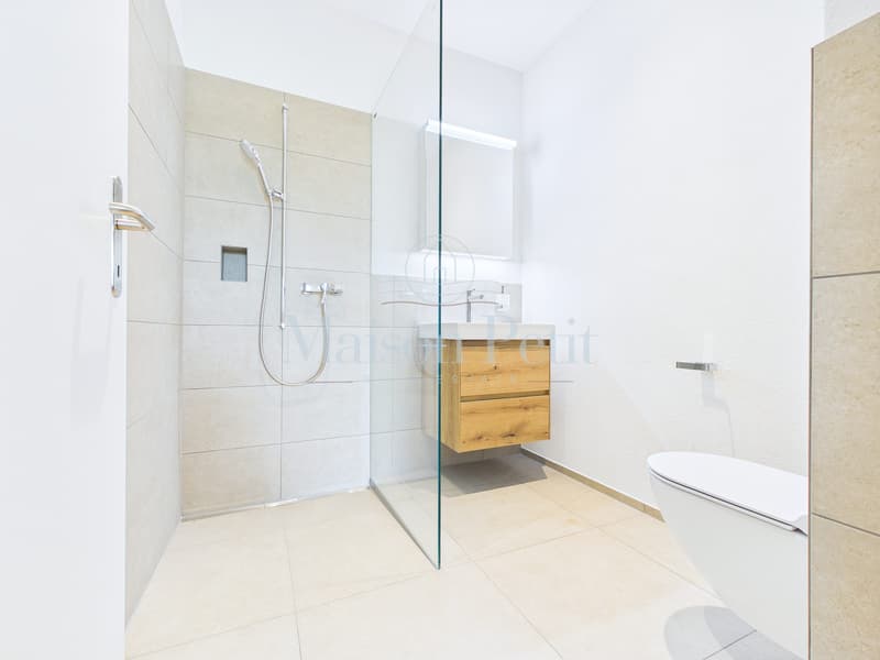 Enchanting 5.5-room garden apartment with 336 m² garden and privacy (12)