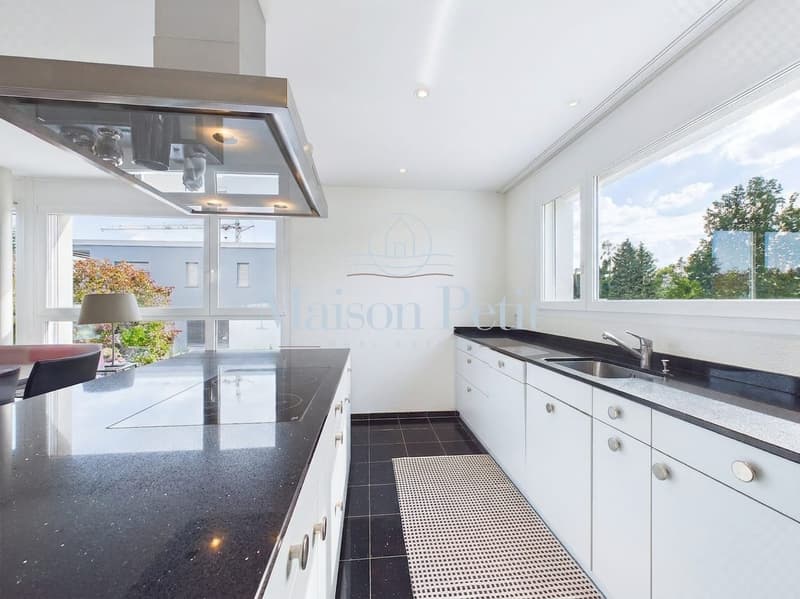 Appartement attique élégant et calme avec une vue magnifique à Zurich (4)