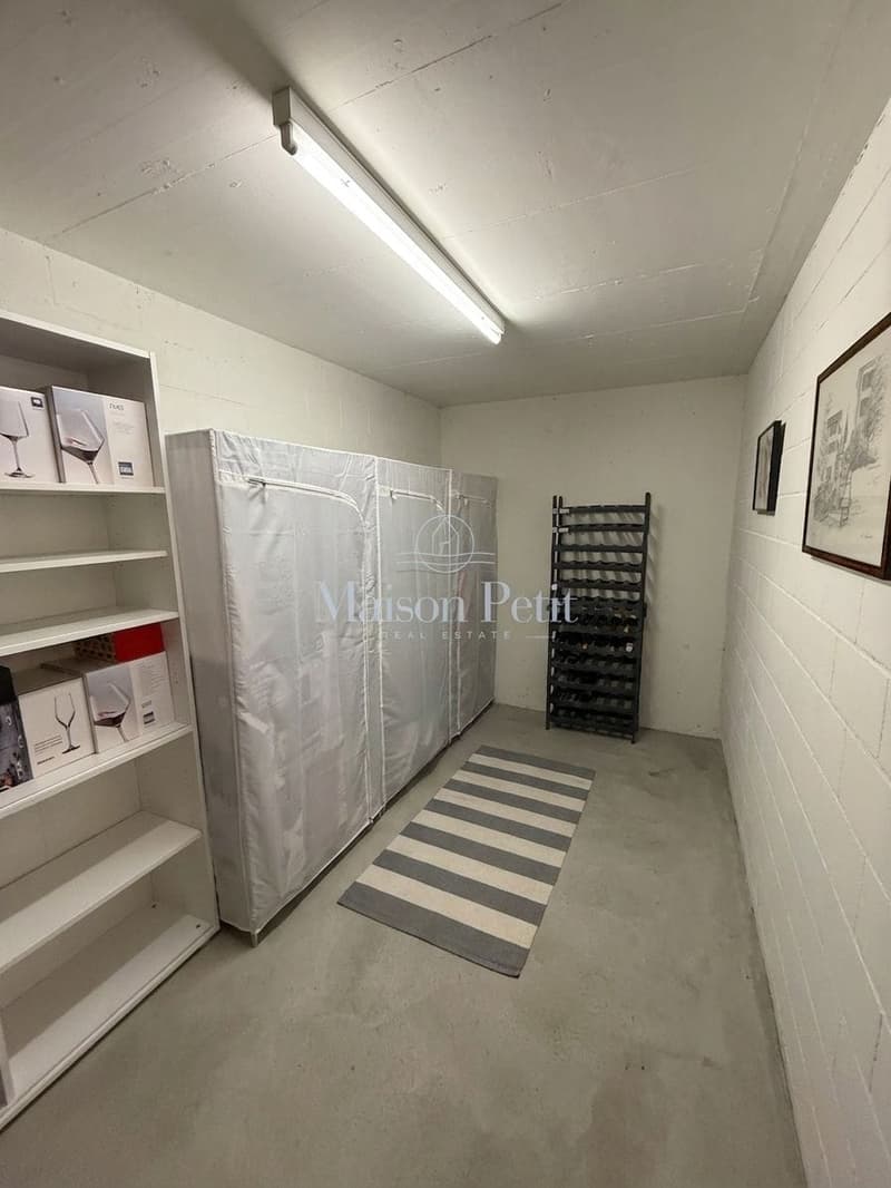 Appartement attique élégant et calme avec une vue magnifique à Zurich (13)
